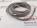Type Cm Shielded E113096 Sensor