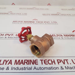 Tyt 502493 Adjustable Valve