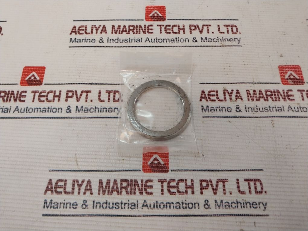 Valqua F/300-20 Check Gasket Globe