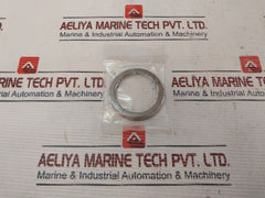 Valqua F/300-20 Check Gasket Globe
