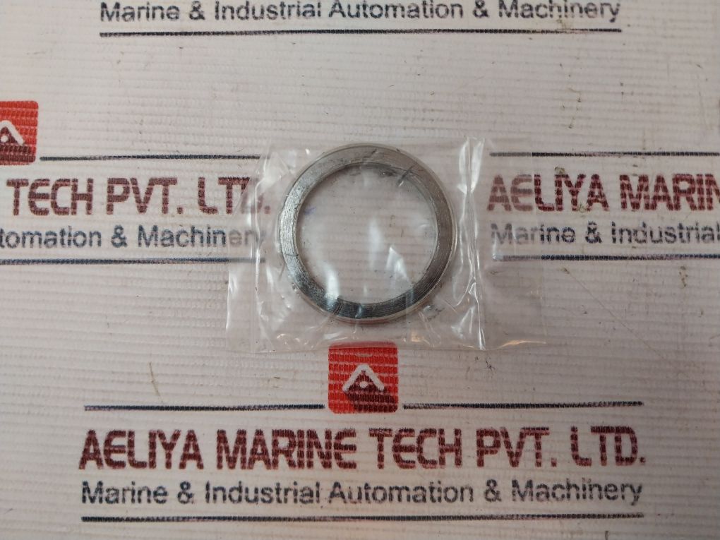 Valqua F/300-20 Check Gasket Globe