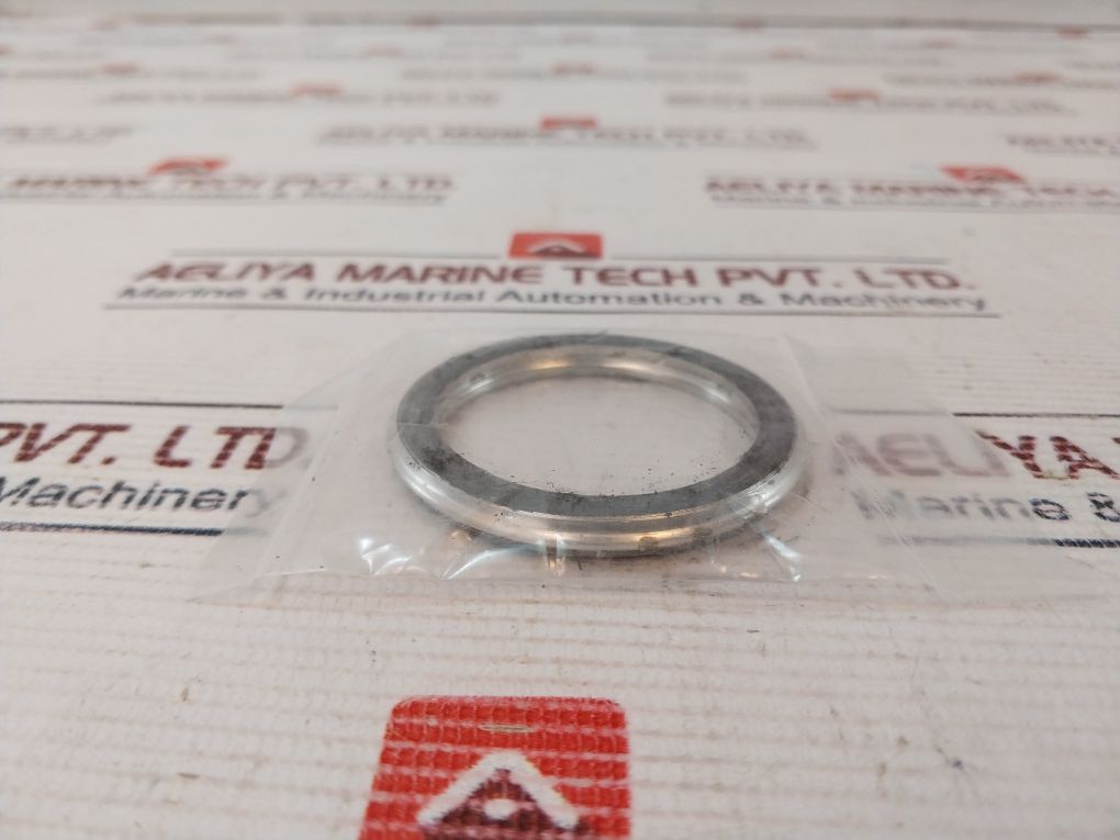 Valqua F/300-20 Check Gasket Globe