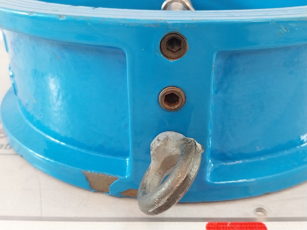 Vinflow Gg25 Dual Plate Check Valve