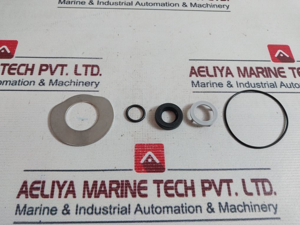 Volvo Penta 21951396 Sea Water Pump Rear Kit