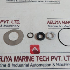 Volvo Penta 21951396 Sea Water Pump Rear Kit