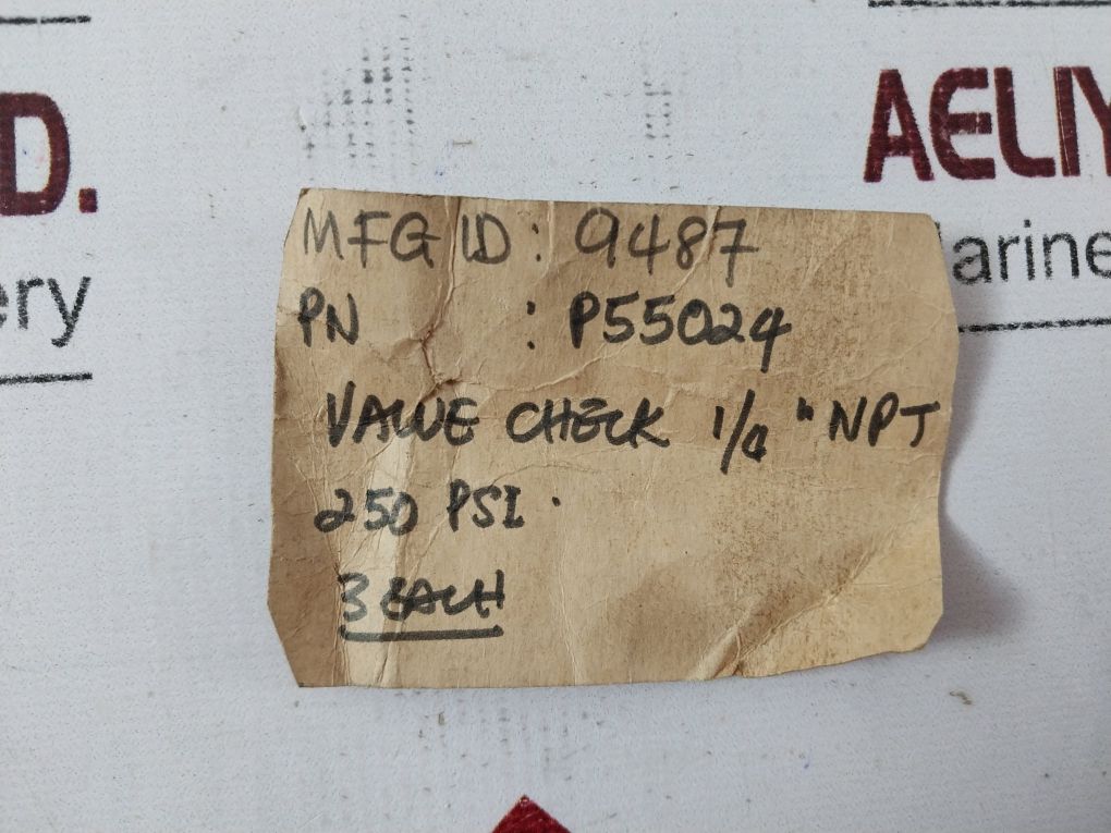 Wabco P55024 1/4 Npt Check Valve