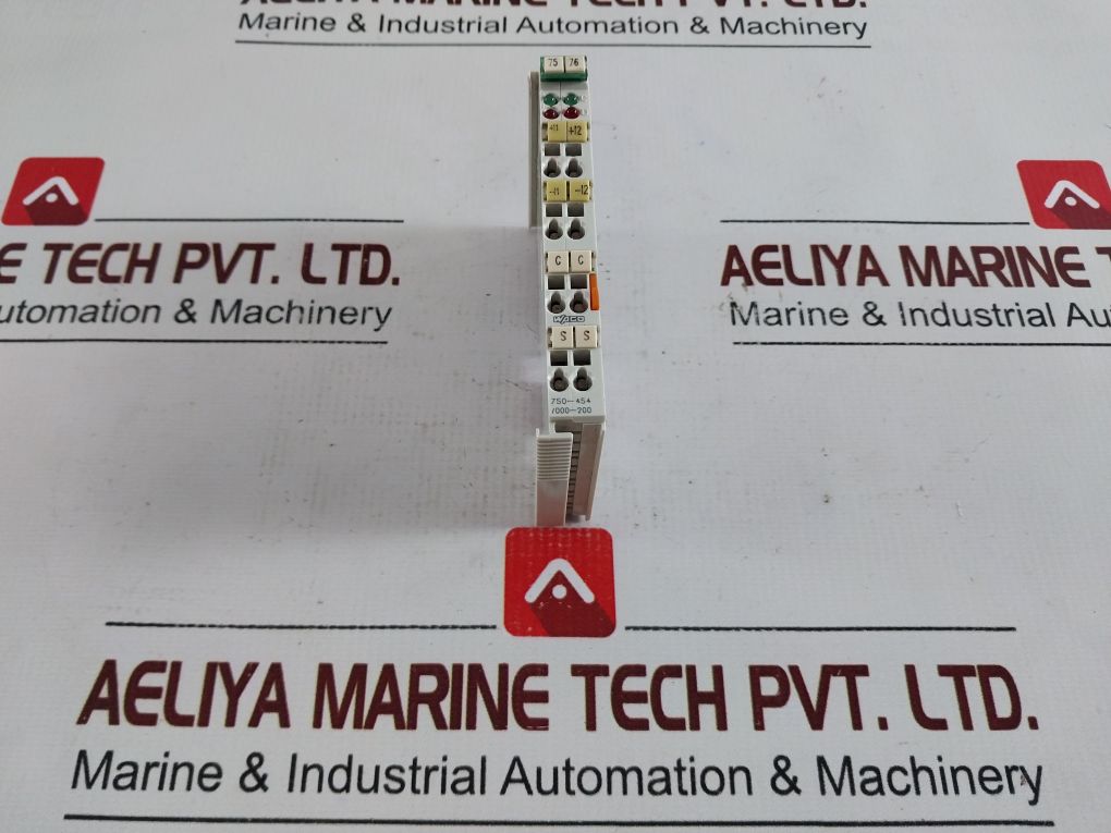 Wago 750-454/000-200 2-channel Analog Input Module 24V Dc 33003003----00