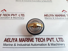 Wahler Thermostat With Seal Ring 80°C
