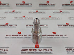 Walther-prazision 95768 Quick Disconnect Female Coupling