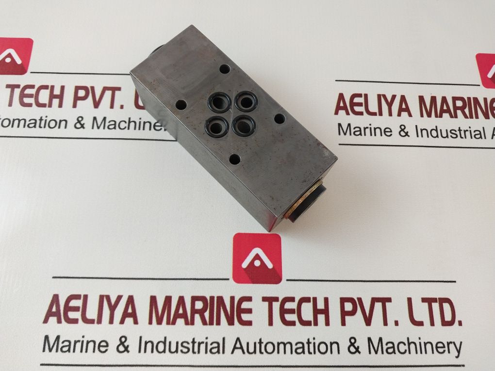 Wandfluh Aerva6 Check Hydraulic Valve P Max 350Bar