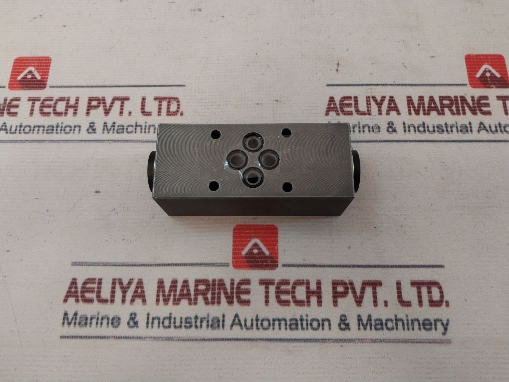 Wandfluh Aervb6 Check Valve 350Bar