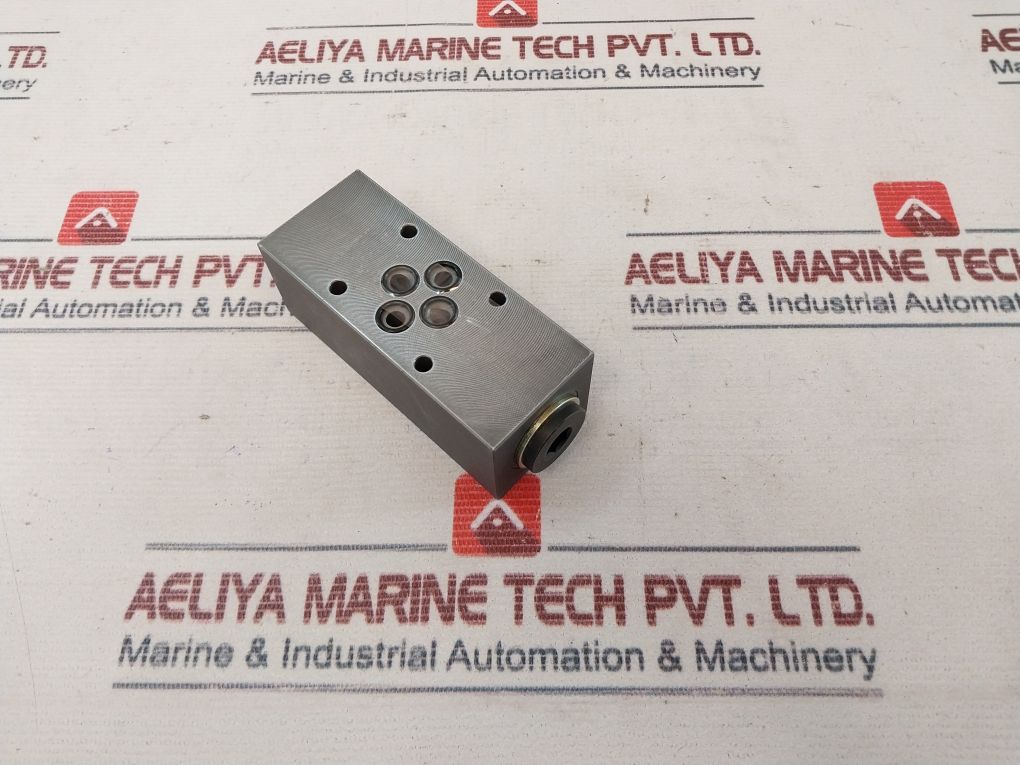 Wandfluh Aervb6 Check Valve 350Bar