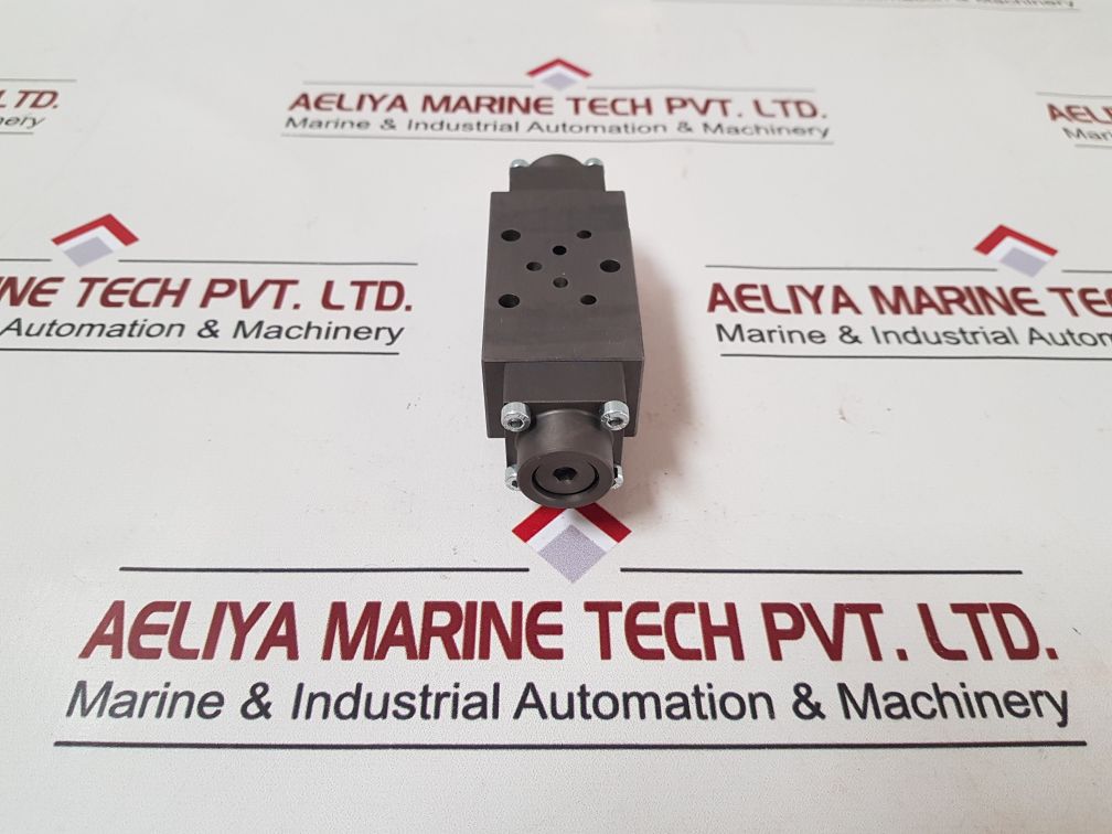 Wandfluh Bderv4240-s1960 Non-return Valve
