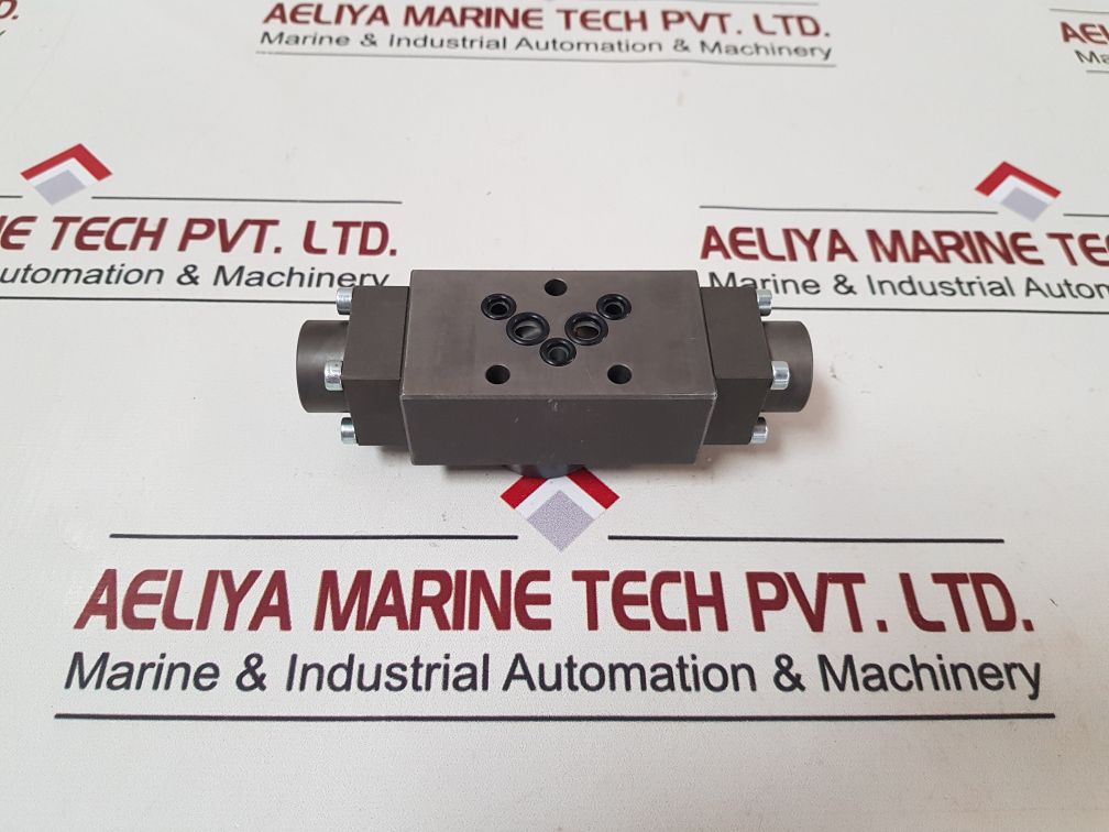 Wandfluh Bderv4/240-s1960 Non-return Valve