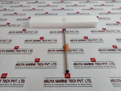Waters 186000584 Xterra Rp18 5µM 4.6 X 250Mm Cartridge