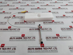 Waters 186006067 Xbridge Beh Phenyl 2.5µM 2.1 X 100Mm Column Xp