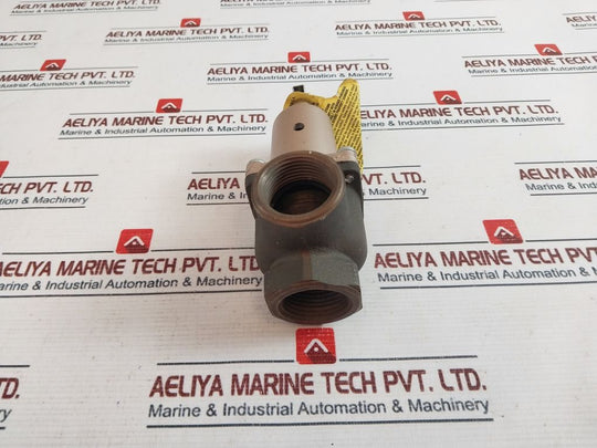 Watts 174A Safety Relief Valve Tag 174A 9407