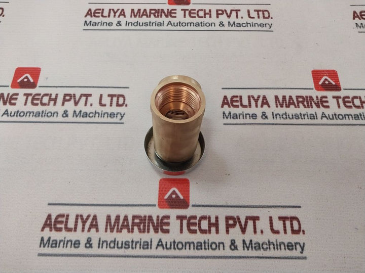 Watts 288A-m4 Anti-siphon Vacuum Breaker