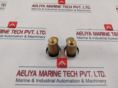 Watts 288A Brass Anti-siphon Vacuum Breaker