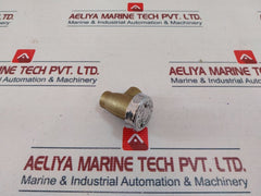 Watts 288A Brass Anti-siphon Vacuum Breaker