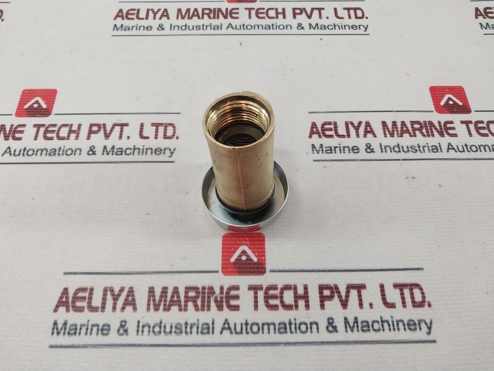 Watts Asse-1001 Brass Anti-siphon Vacuum Breaker