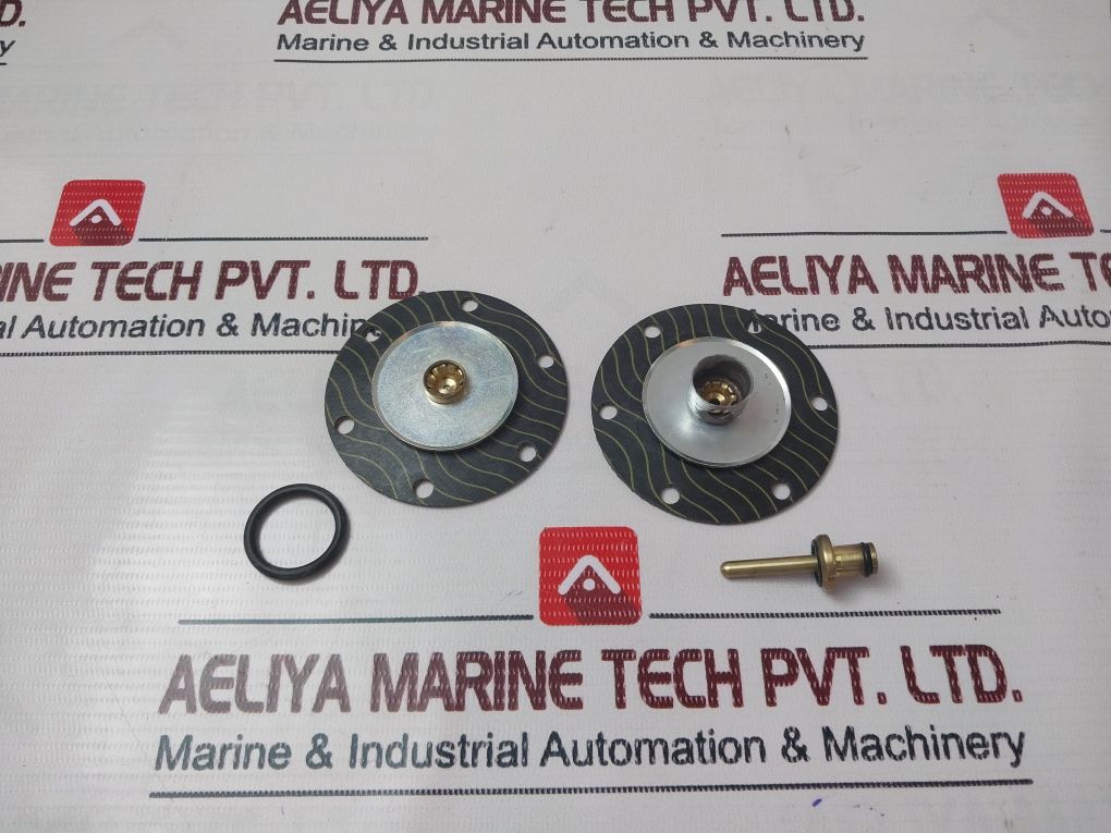 Watts Fluidair Rk119X20Y Pneumatic Regulator Repair Kit