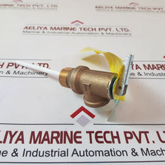 Watts Regulator 100Xl Pressure Relief Valve