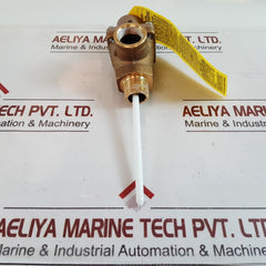 Watts Regulator 40Xl-z2 Temperature And Pressure Relief Valve
