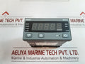 West P8010 Panel Meter

