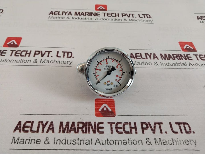 Wika En 837-1 Pressure Gauge Manometer-63 Mm 0-6 Bar Cl 2.5