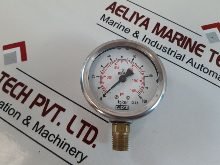 Wika 212.53.063 Pressure Gauge