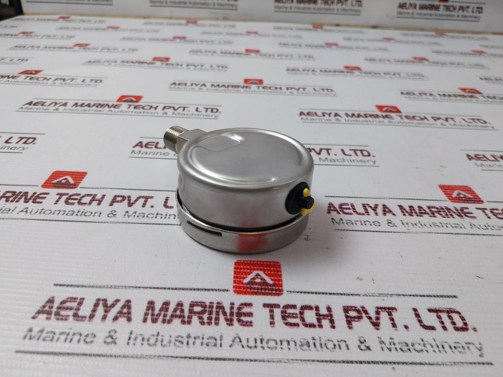 Wika 232.50.063 Pressure Gauge