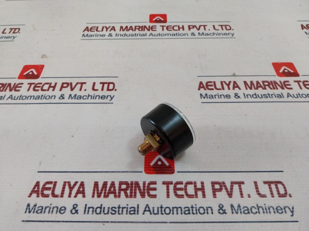 Wika 4389871 Pressure Gauge