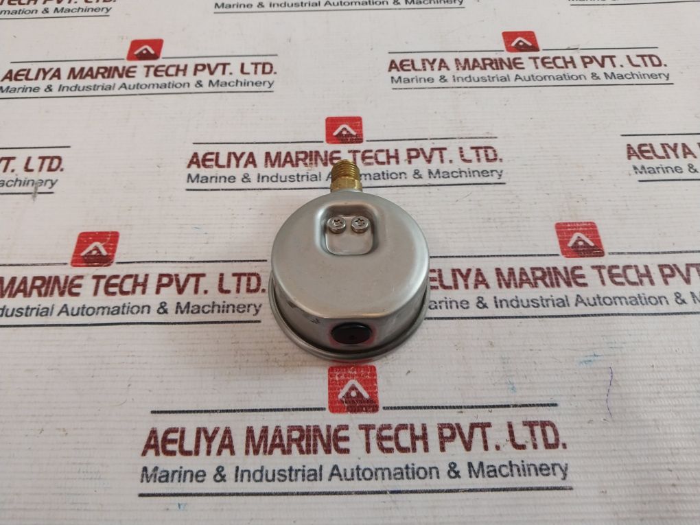 Wika En837-1 Pressure Gauge 0-250 Bar Wirth/Gh 4500