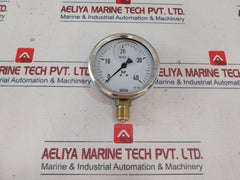 Wika En837-1 Pressure Gauge 0-40 Bar