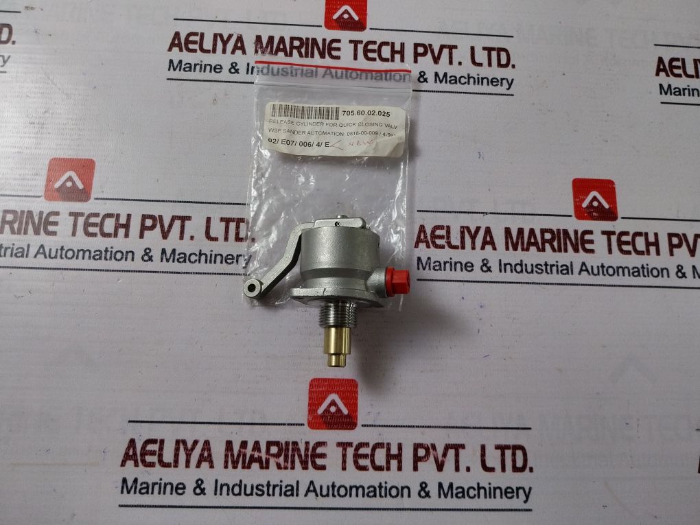 Wsf Sander 0818-00-0094-591 Release Cylinder For Quick Closing Valve
