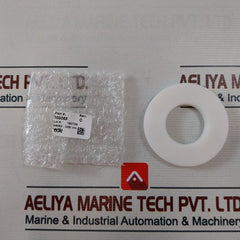 Wsi 100819Rk Valve Repair Kit