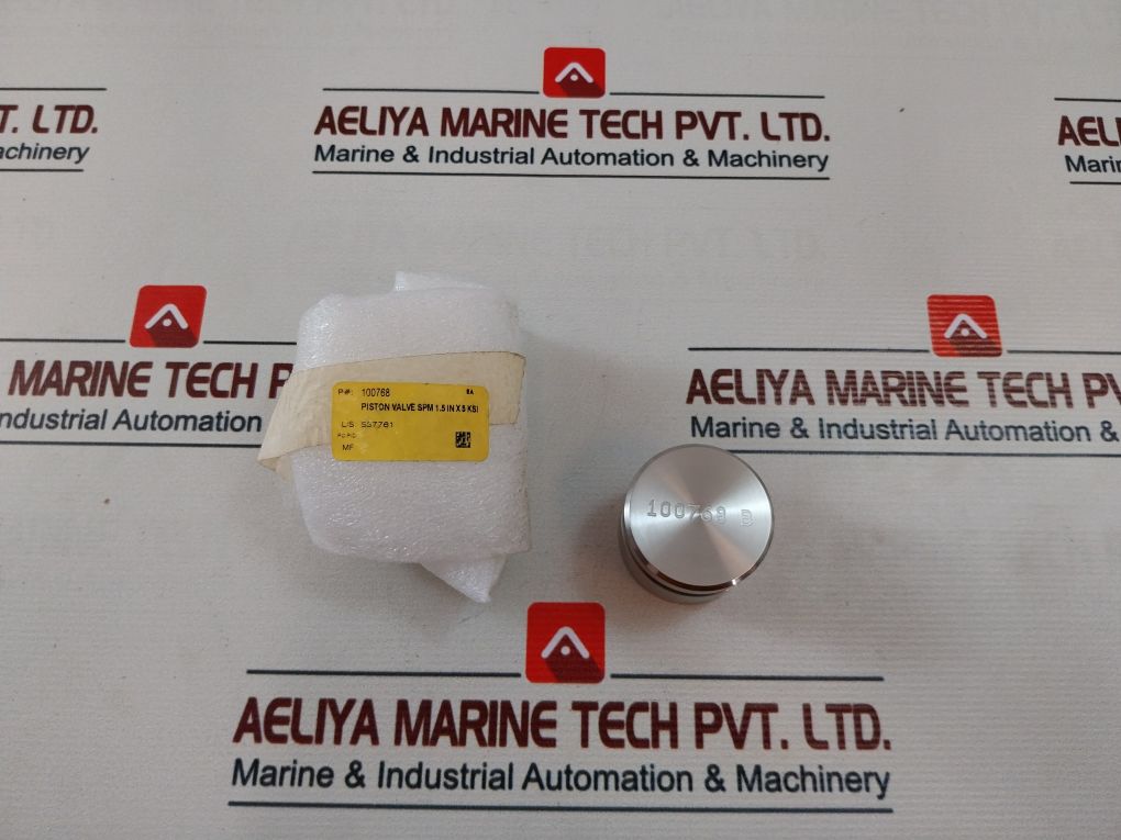 Wsi 100819Rk Valve Repair Kit