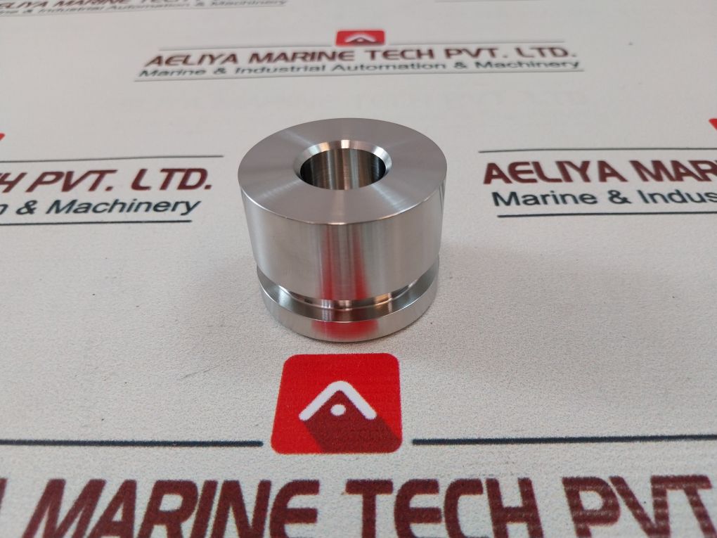 Wsi 100819Rk Valve Repair Kit