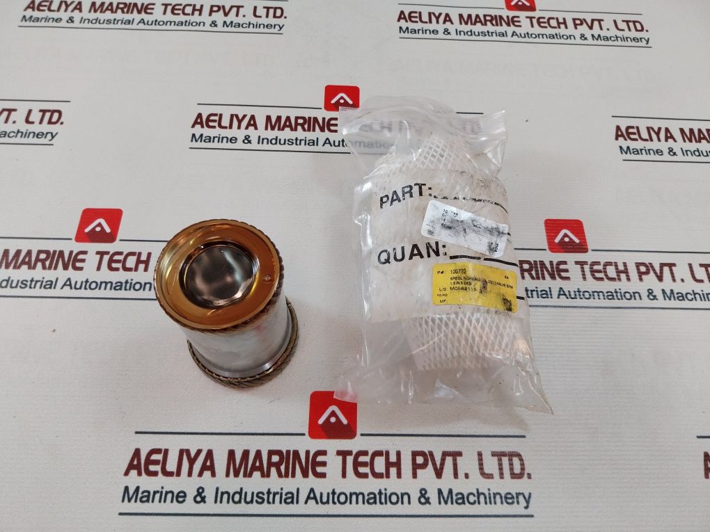 Wsi 100819Rk Valve Repair Kit