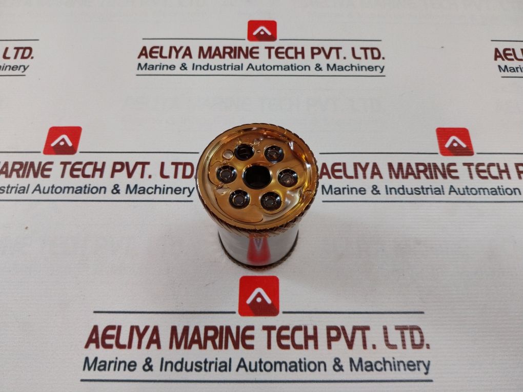 Wsi 100819Rk Valve Repair Kit