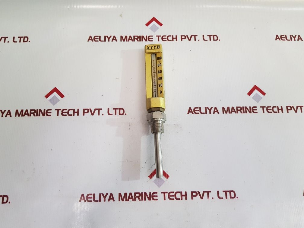 Xyyb 0 To 100°C Industrial Thermometer