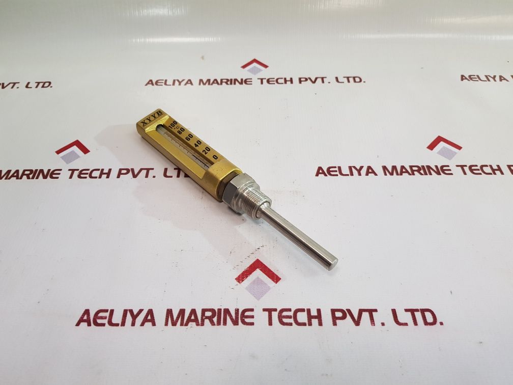 Xyyb 0 To 100°C Industrial Thermometer