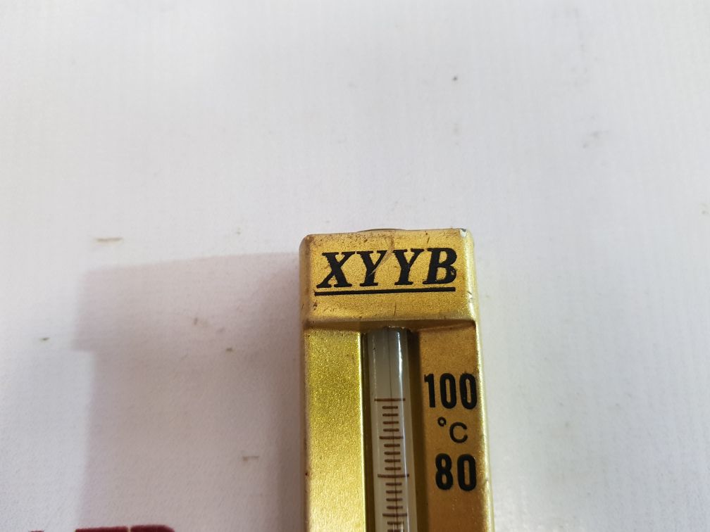 Xyyb 0 To 100°C Industrial Thermometer
