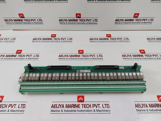 Yokogawa Yro32Adv-224@A Isolation Module P-v0-2