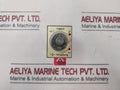 Yong Sung Yslt Timer Ac 110/220V
