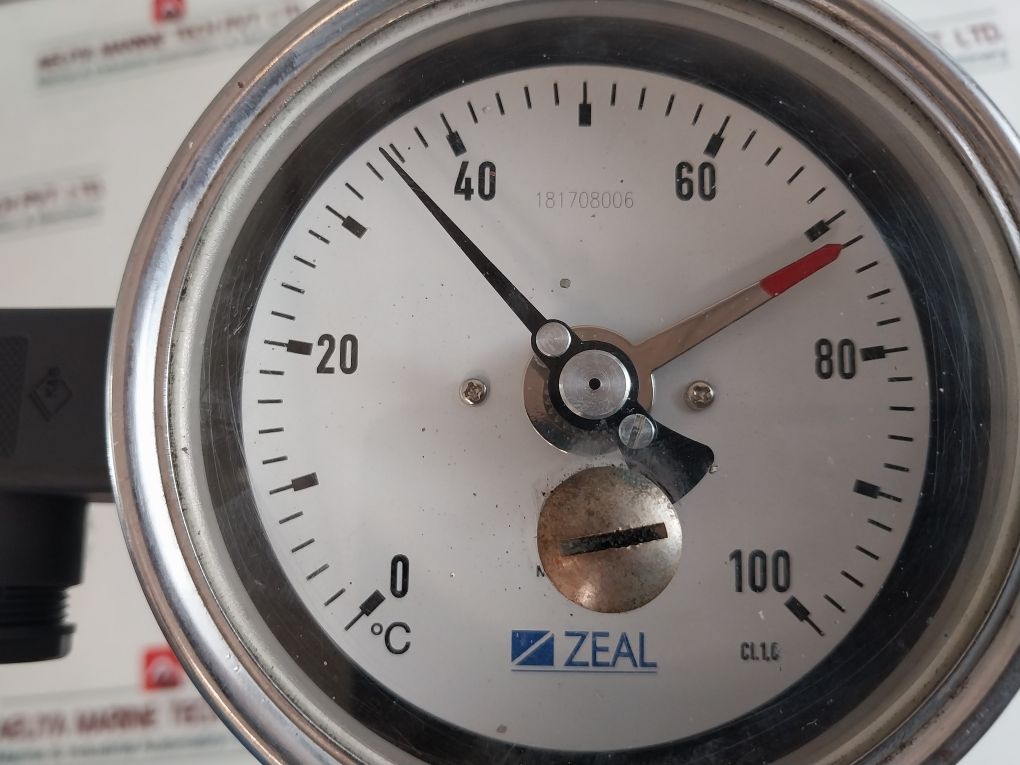 Zeal 181708006